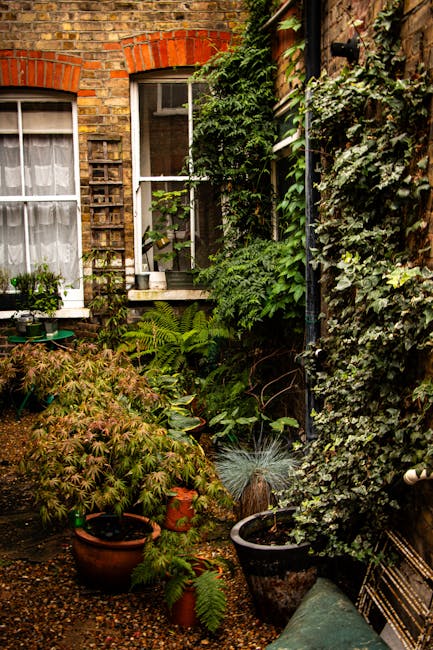 A narrow garden space nestled between two brick buildings with large, white-framed sash windows, one of which has a sheer curtain. The garden features a variety of lush green plants, including ferns, 